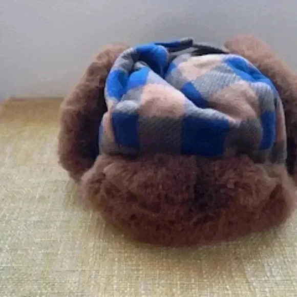 Gymboree Trapper hat w/ ear flaps Brown And Blue Plaid Fur Lined Hat Cap - Picture 12 of 12